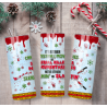 20oz Christmas Tumbler | Double Wall Insulated Skinny Cup w/ Straw