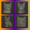Custom Engraved Slate Coaster Set (Pack of 4) | Gift Box Included