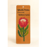 Leather Cross Stitch Bookmark Kit – Veg Tan 65x190mm