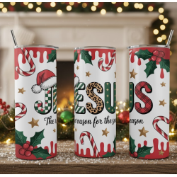 20oz Christmas Tumbler | Double Wall Insulated Skinny Cup w/ Straw